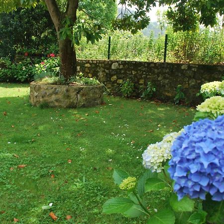 Casa De Aldea El Toral Guest House Rales  Екстериор снимка